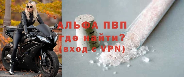 сатива Беломорск