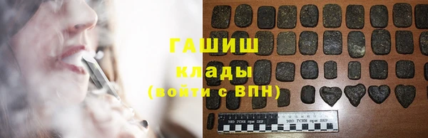 сатива Беломорск