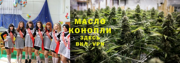 сатива Беломорск