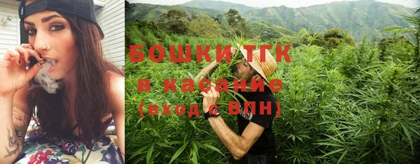 прущая мука Арсеньев