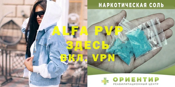 сатива Беломорск
