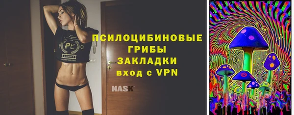 сатива Беломорск