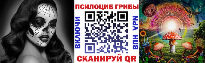 Псилоцибиновые грибы прущие грибы  Купить где  Сланцы 